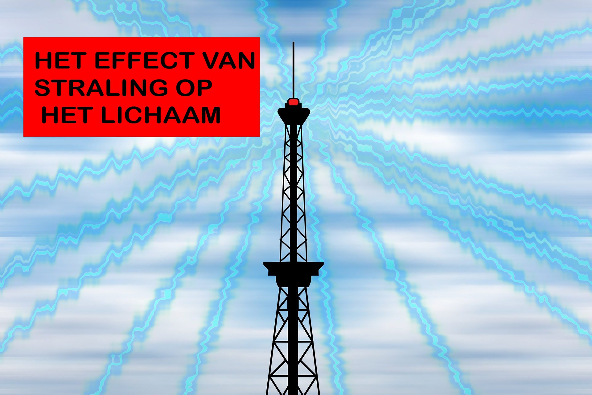 Effect van straling op het lichaam 1 Straling Shungite Nederland